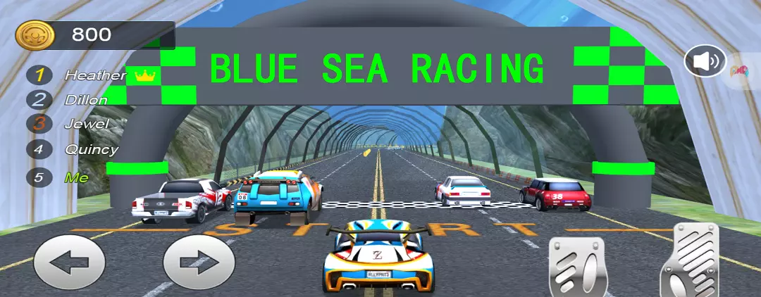 themePictureLink