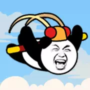Fly Man