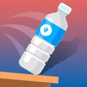Bottle Flip Challenges