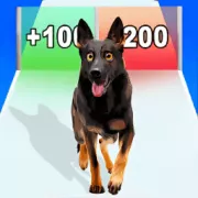 Dog Evolution