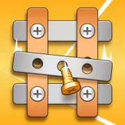 Bolt Puzzle