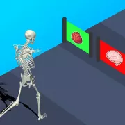 Human Evolution Run2
