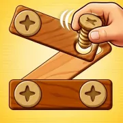 Screw Nuts and Bolts Wood Solve