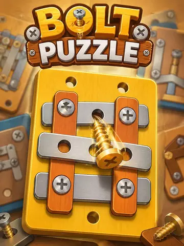 Bolt Puzzle