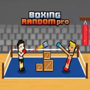 Boxing Random pro