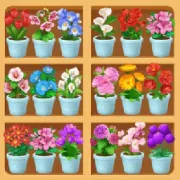 Flowers Match
