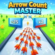 Arrow Count Master