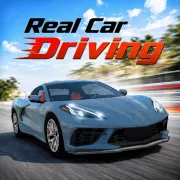 Real Car Driving