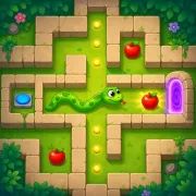 Snake Solver Puzzle
