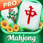 Mahjong Puzzle Pro