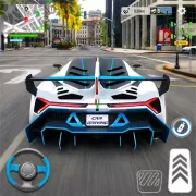 Speed Racing