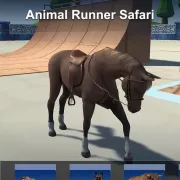 Animal Runner Safari