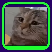 Brick Breaker Chipi Chipi Chapa Chapa Cat