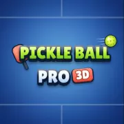 Pickle Ball Pro